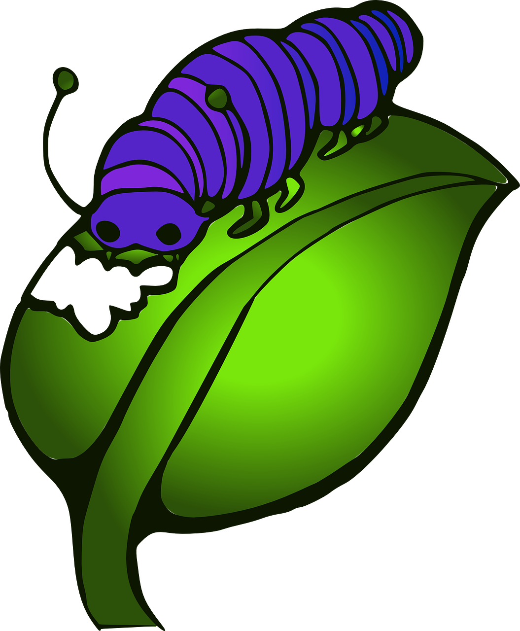 Purple Caterpillaron Leaf PNG