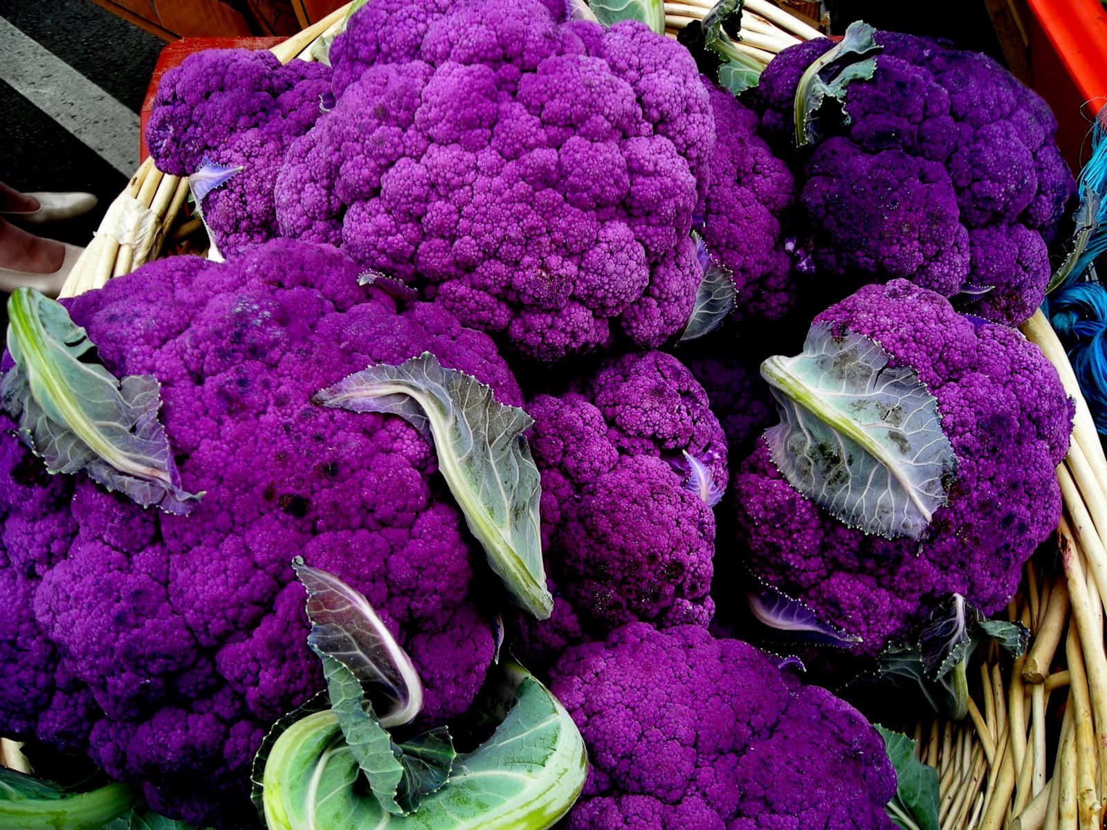 "The Perfect Shade of Purple: A Close-up of a Purple Cauliflower" Wallpaper