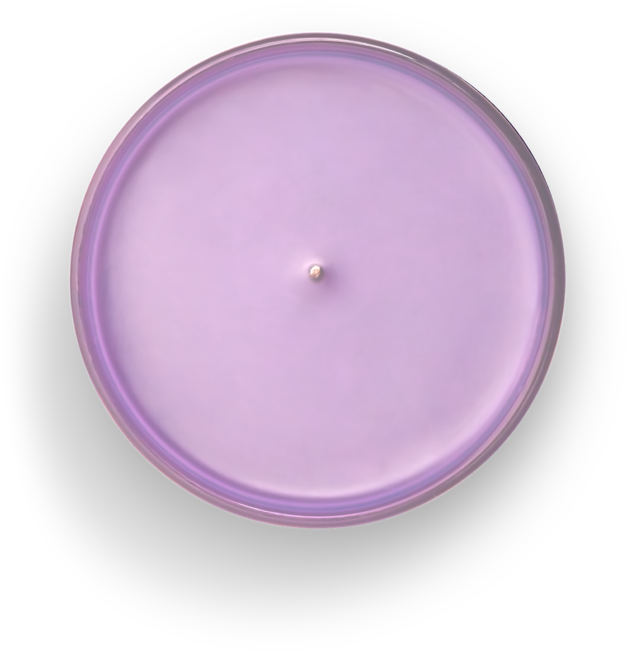 Purple Circle Objecton Dark Background PNG