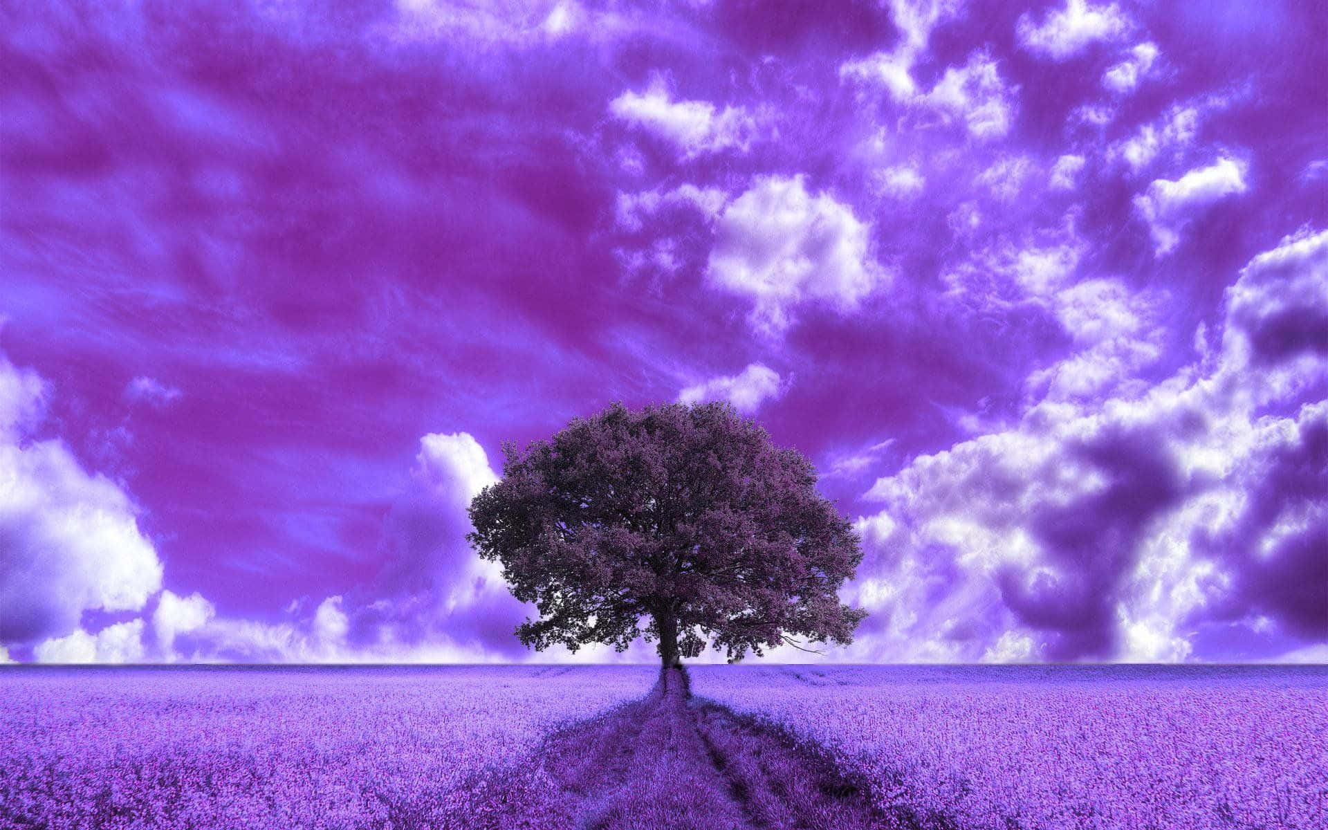 Dreamy Purple Clouds Background