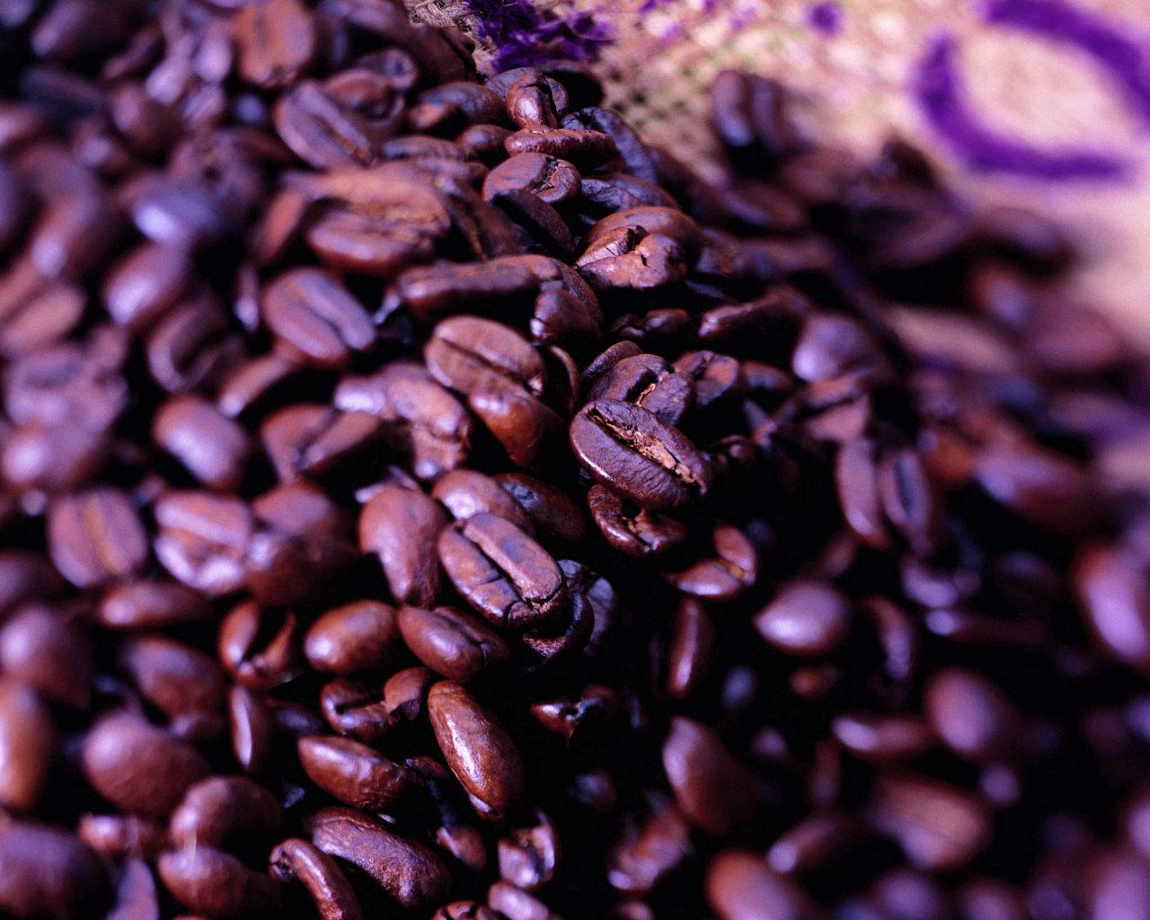 Purple Coffee Beans