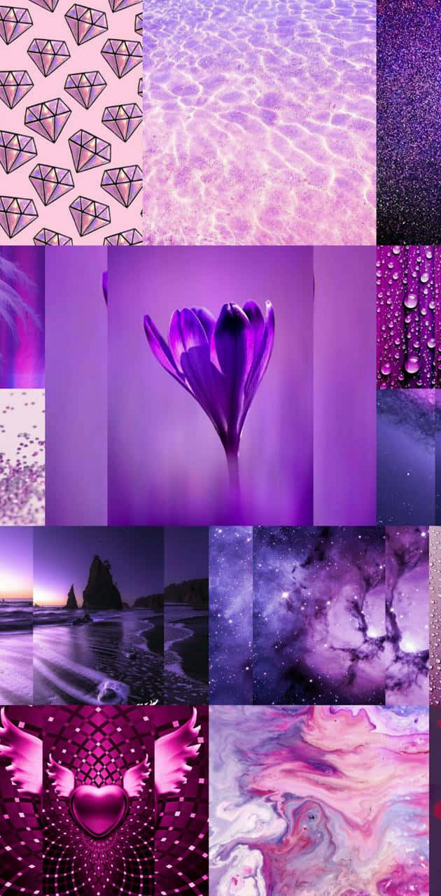 Dynamic Purple Collage Wallpaper