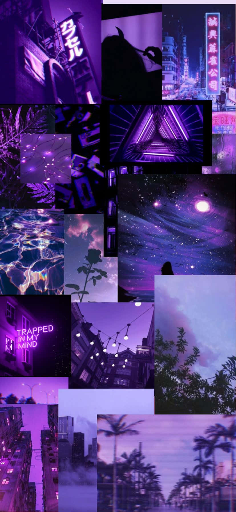 Collageaudaz Y Hermoso De Color Púrpura Para Iluminar Cualquier Espacio. Fondo de pantalla