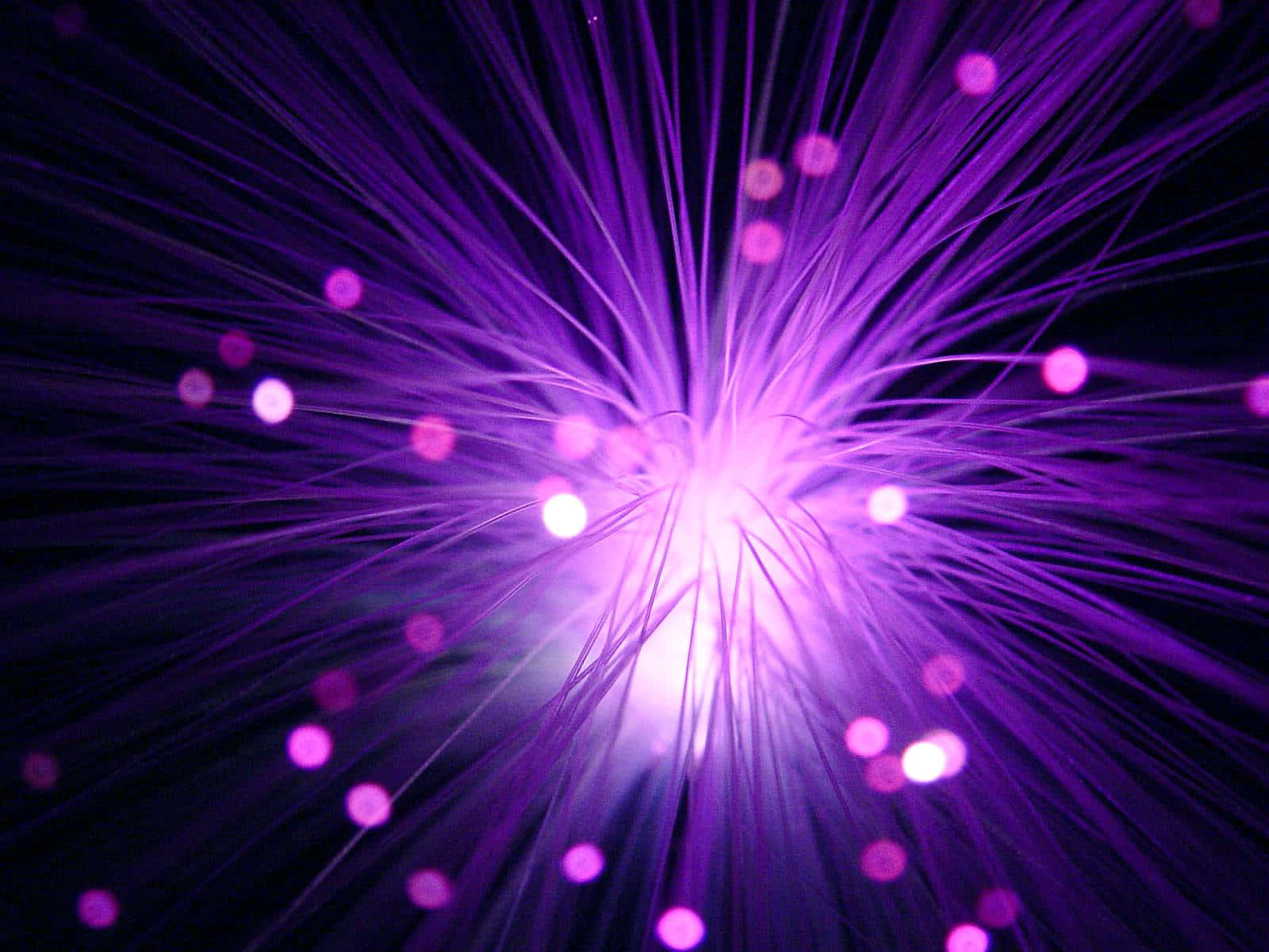 Semuestra Una Luz Púrpura De Fibra Óptica En La Oscuridad Fondo de pantalla
