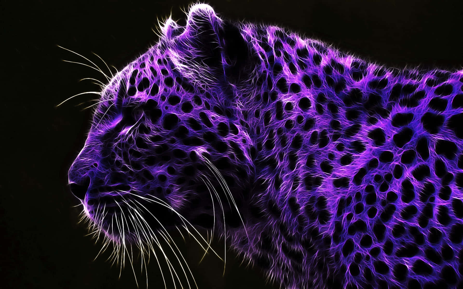 Paisajepúrpura, Jungla Fresca, Leopardo. Fondo de pantalla