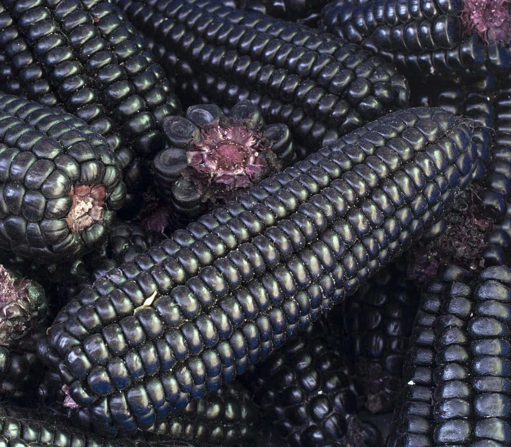 Delicious Purple Corn Kernels Wallpaper
