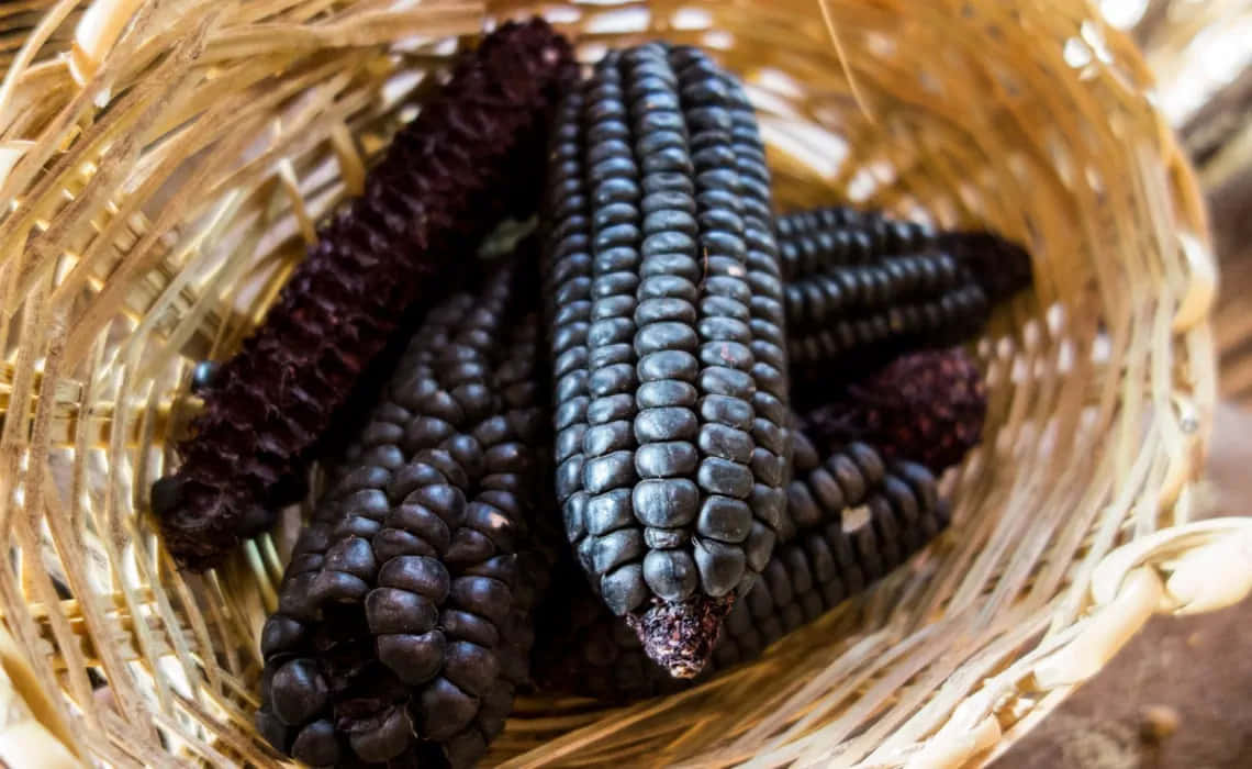 Purple Corn is Perfect for Adding a Pops of Color to Any Meal Wallpaper