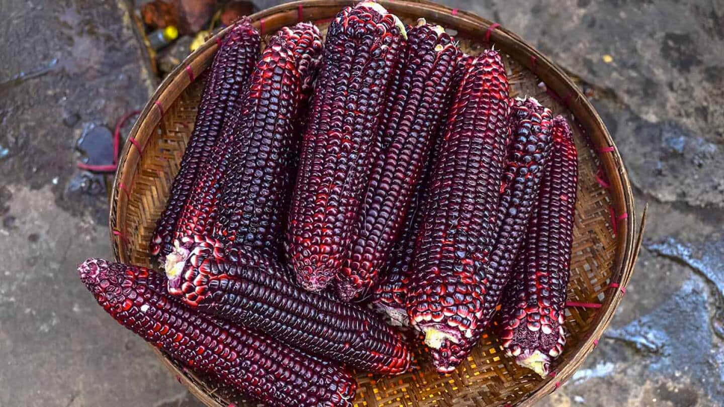Enjoy some tasty and healthy snacks with Purple Corn Wallpaper