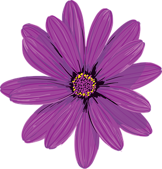 Purple Daisy Illustration PNG