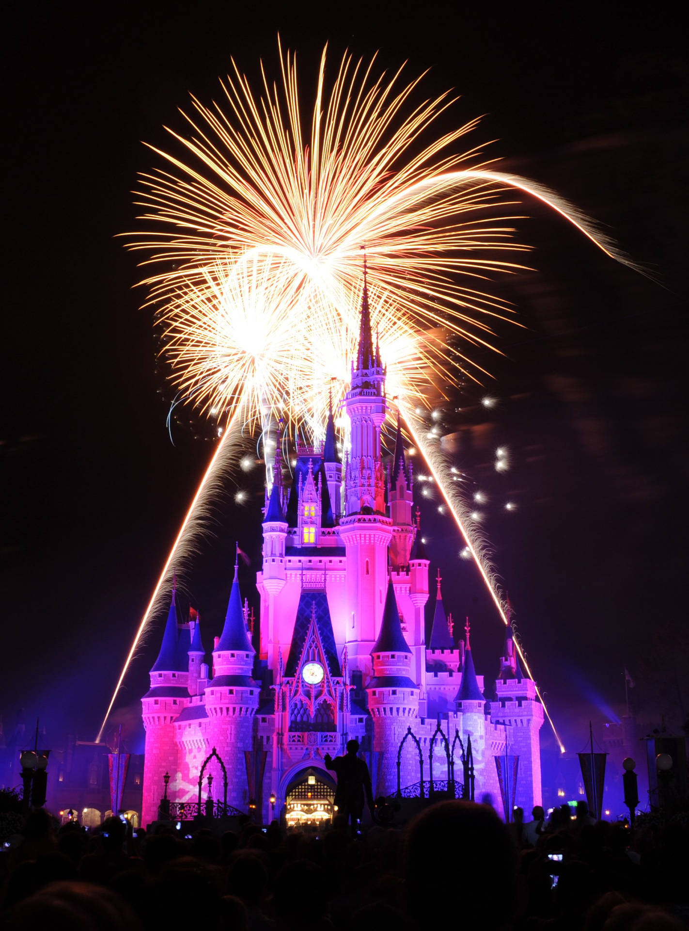 Purple Disneyland Castle Fireworks Display Wallpaper