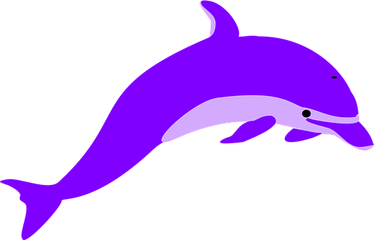 Purple Dolphin Graphic PNG