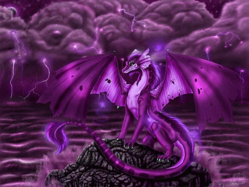 Purple Dragon Sitting On Stone Wallpaper