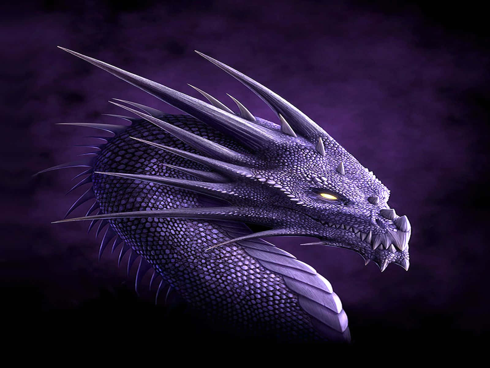 Majestic Purple Dragon Wallpaper