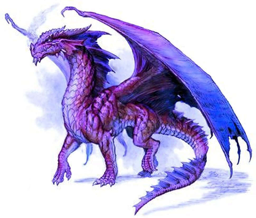 Purple Dragon Smiling Wallpaper