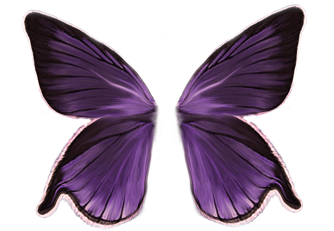 Purple Fairy Wings Illustration PNG