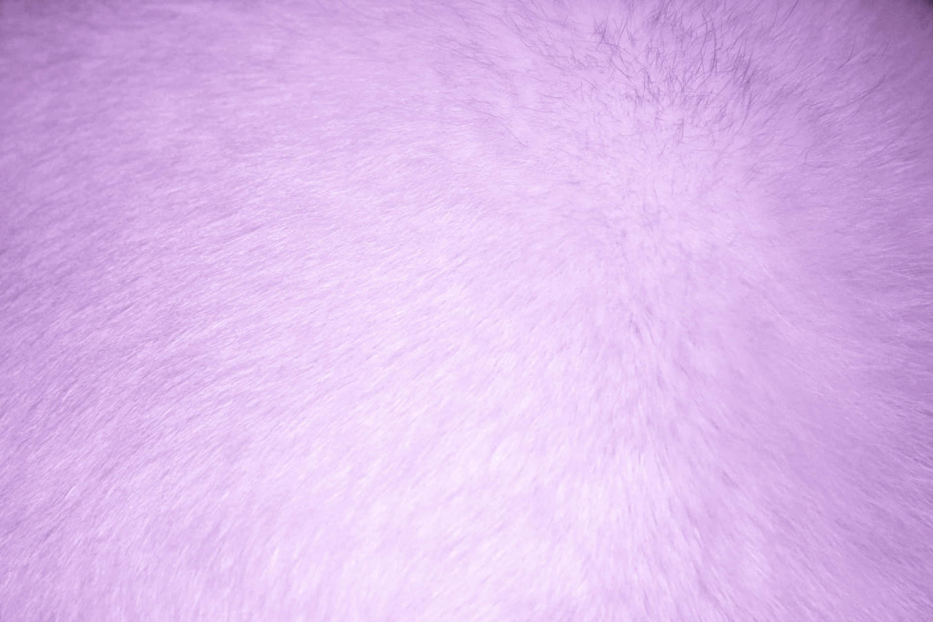 Smooth and stylish, this purple faux fur makes a luxurious addition to any living space. Wallpaper