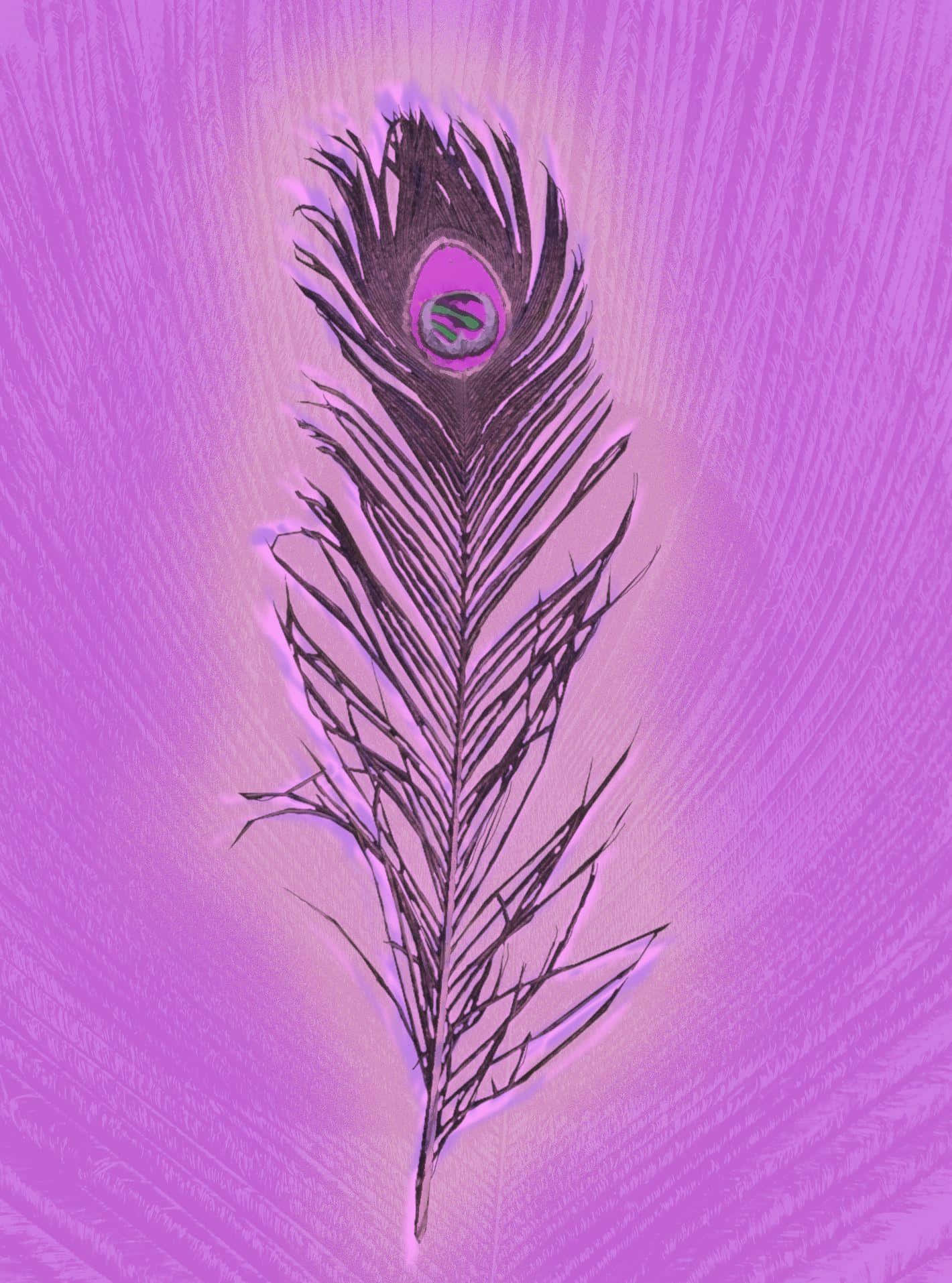 Purple Feather Artwork Wallpaper