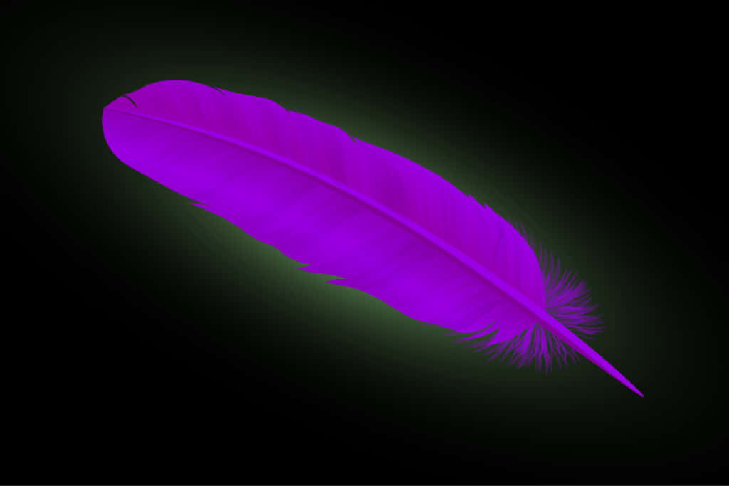 "Uniquely Coloured Purple Feathers" Wallpaper