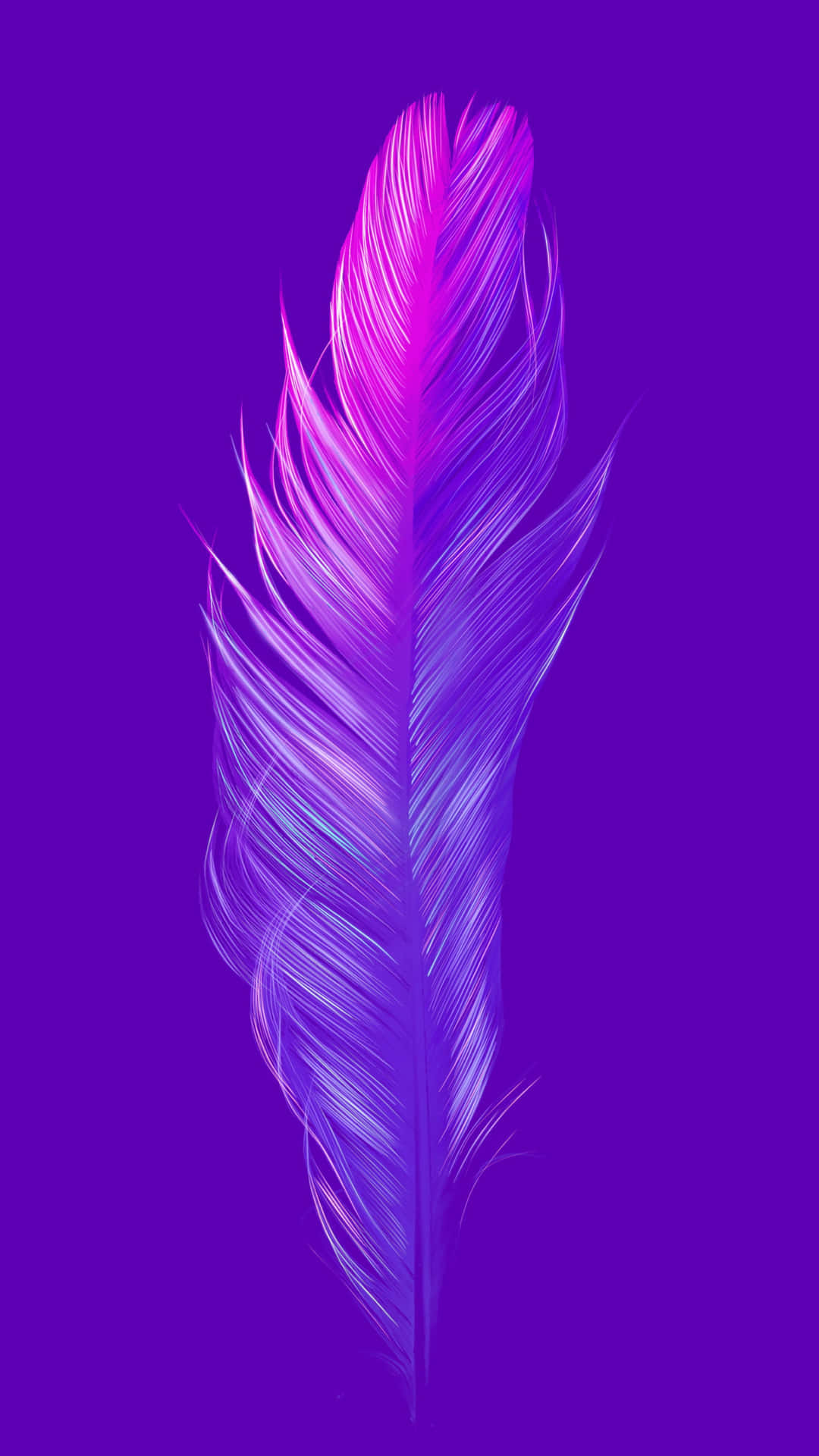 Gorgeous Purple and Blue Peacock Feathers Wallpaper