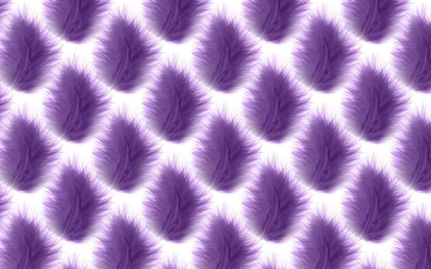 The Beauty of Purple Feathers Wallpaper