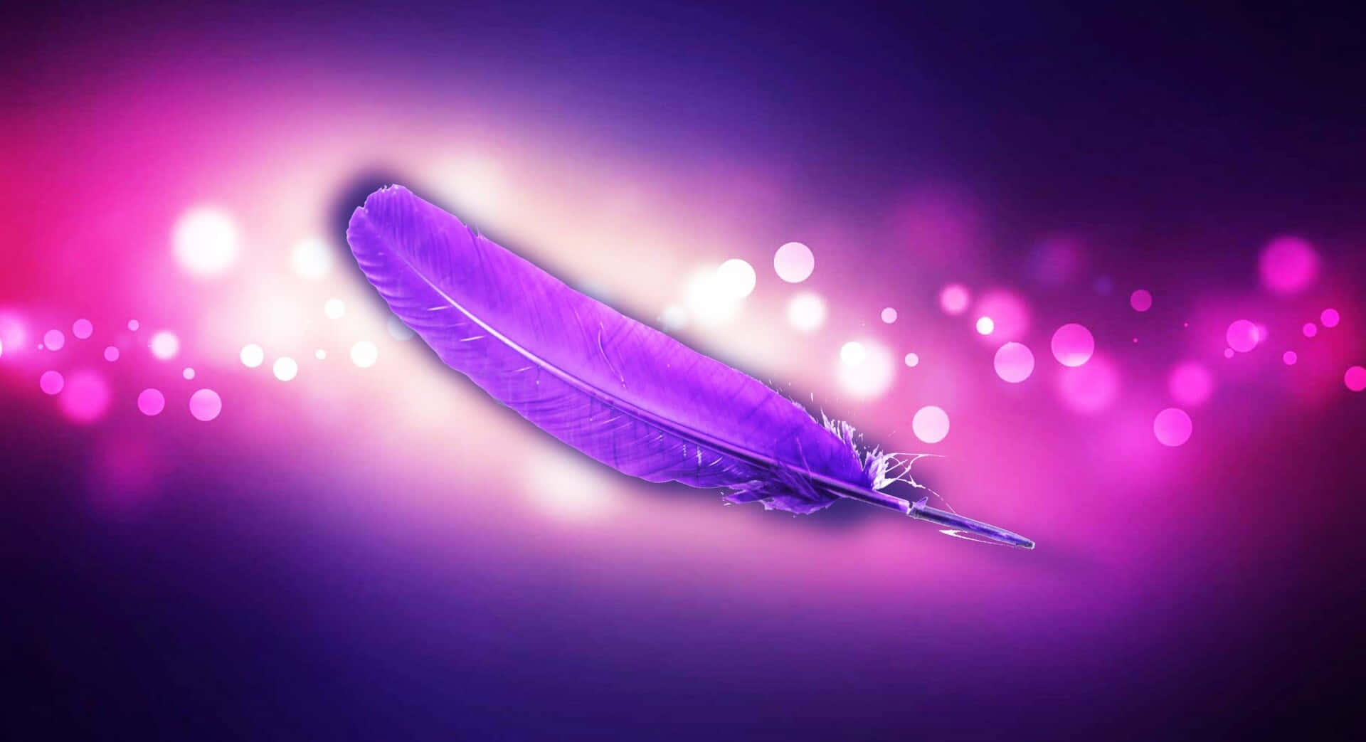 Exotic Purple Feathers Wallpaper