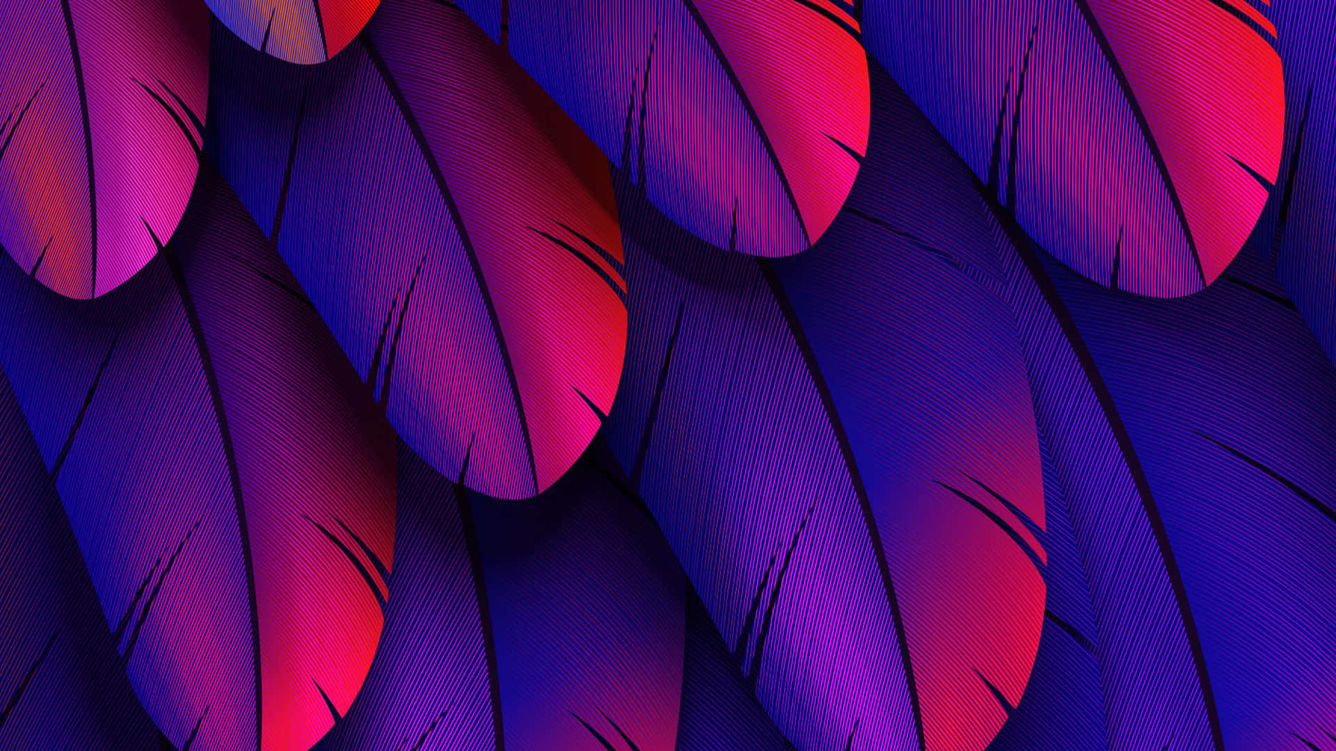 A Beautiful Display of Purple Feathers Wallpaper