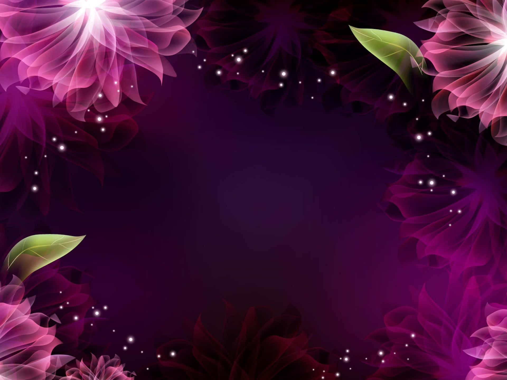 Colorful Purple Flowers Set Against a Dark Background