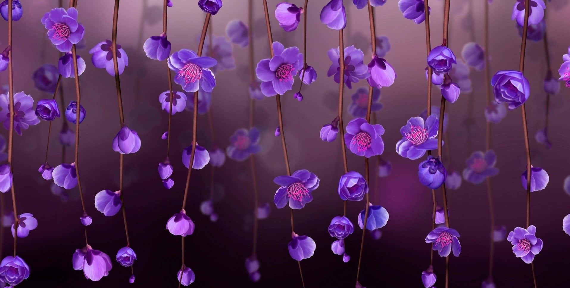 Purple Flowers Hanging From A Purple Curtain