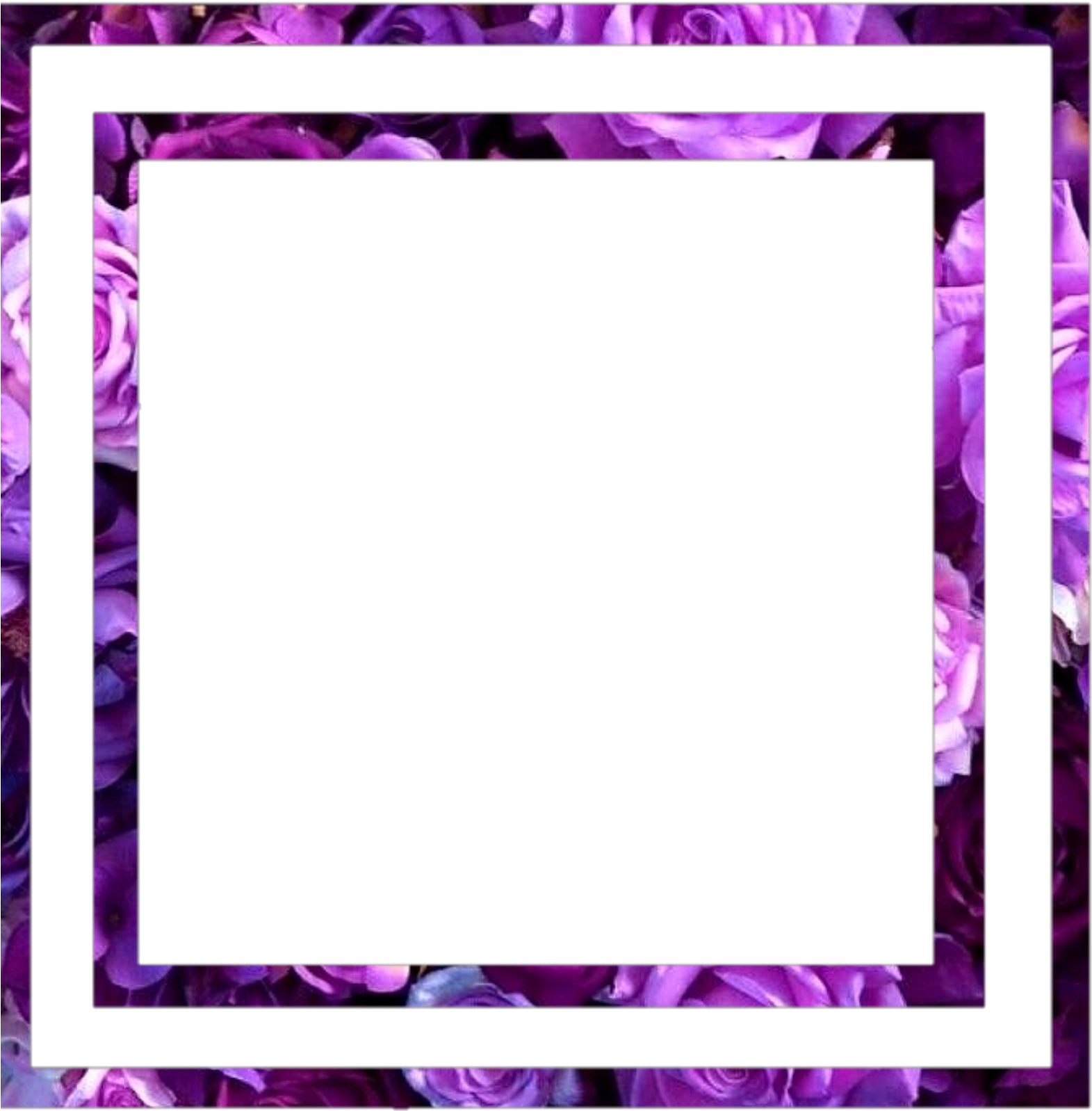 Purple Floral Frame Template PNG