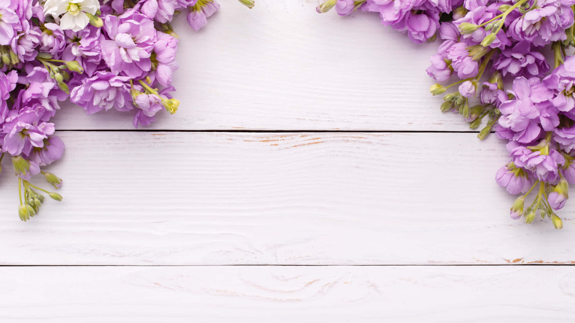 Purple Floral Frame White Wooden Background Wallpaper