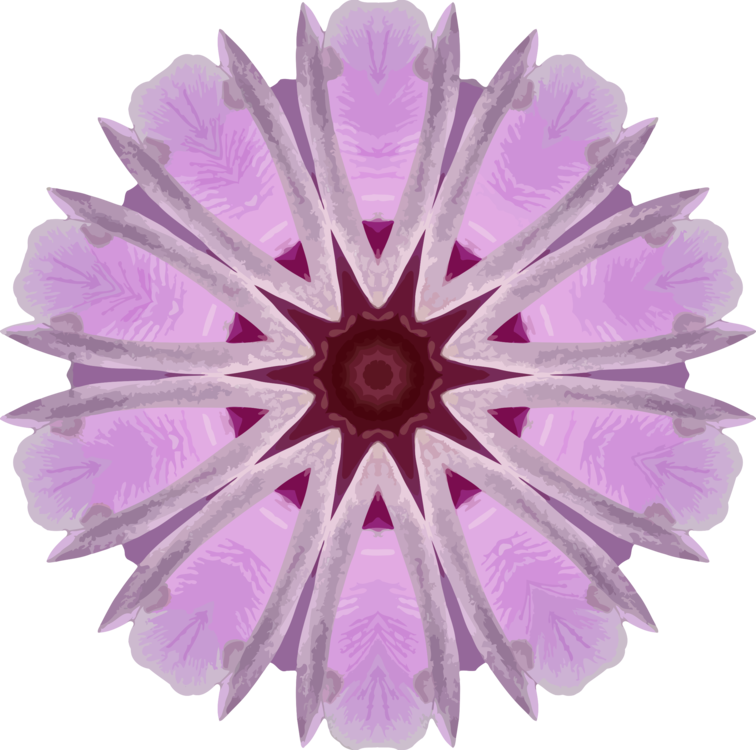 Purple Floral Mandala Pattern PNG