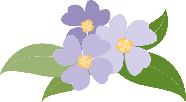 Purple Floral Vector Illustration PNG