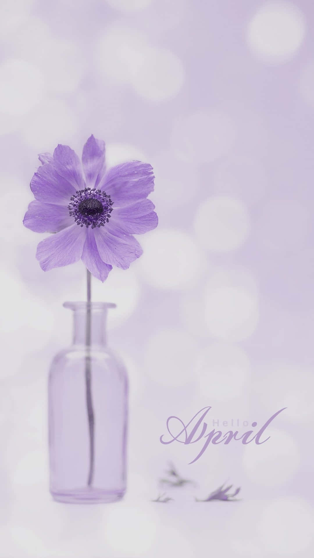 Purple Flower April Aesthetic Wallpaper