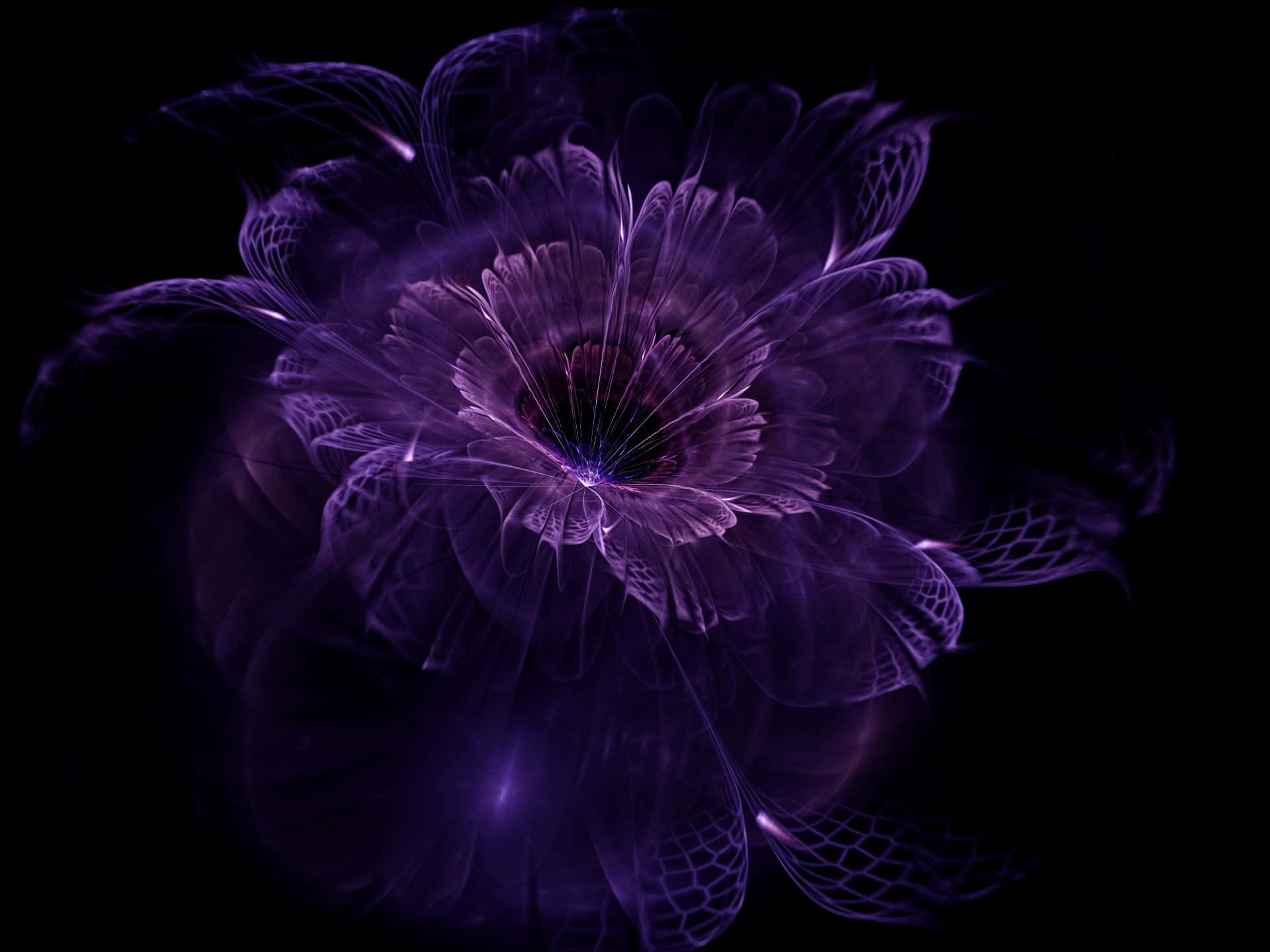 Enjoy the beauty of a purple flower in full bloom!