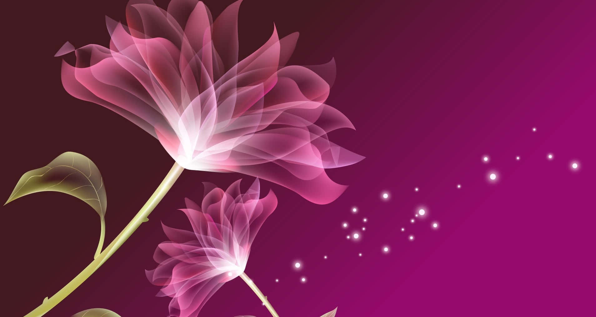 Lily Pinkish Purple Flowers Background