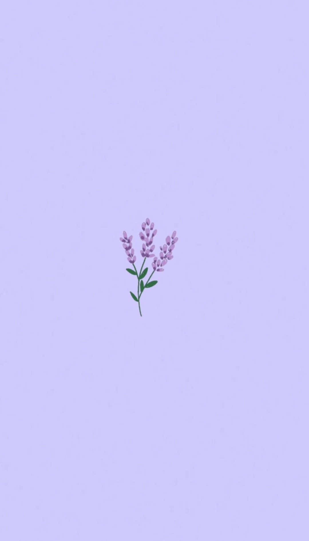 Minimalist Lavender Purple Flower Background