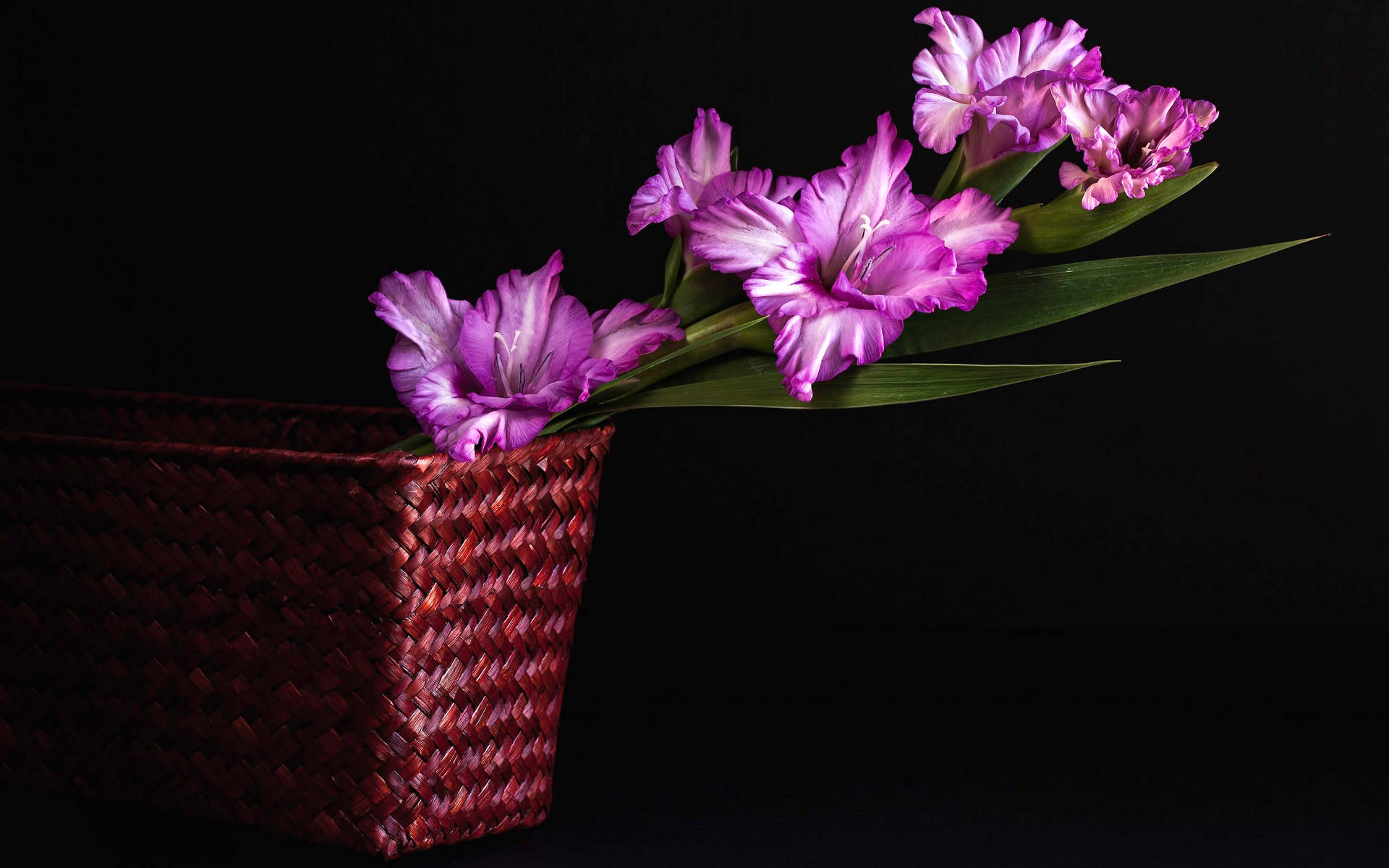 Basket Of Purple Flower Desktop Wallpaper