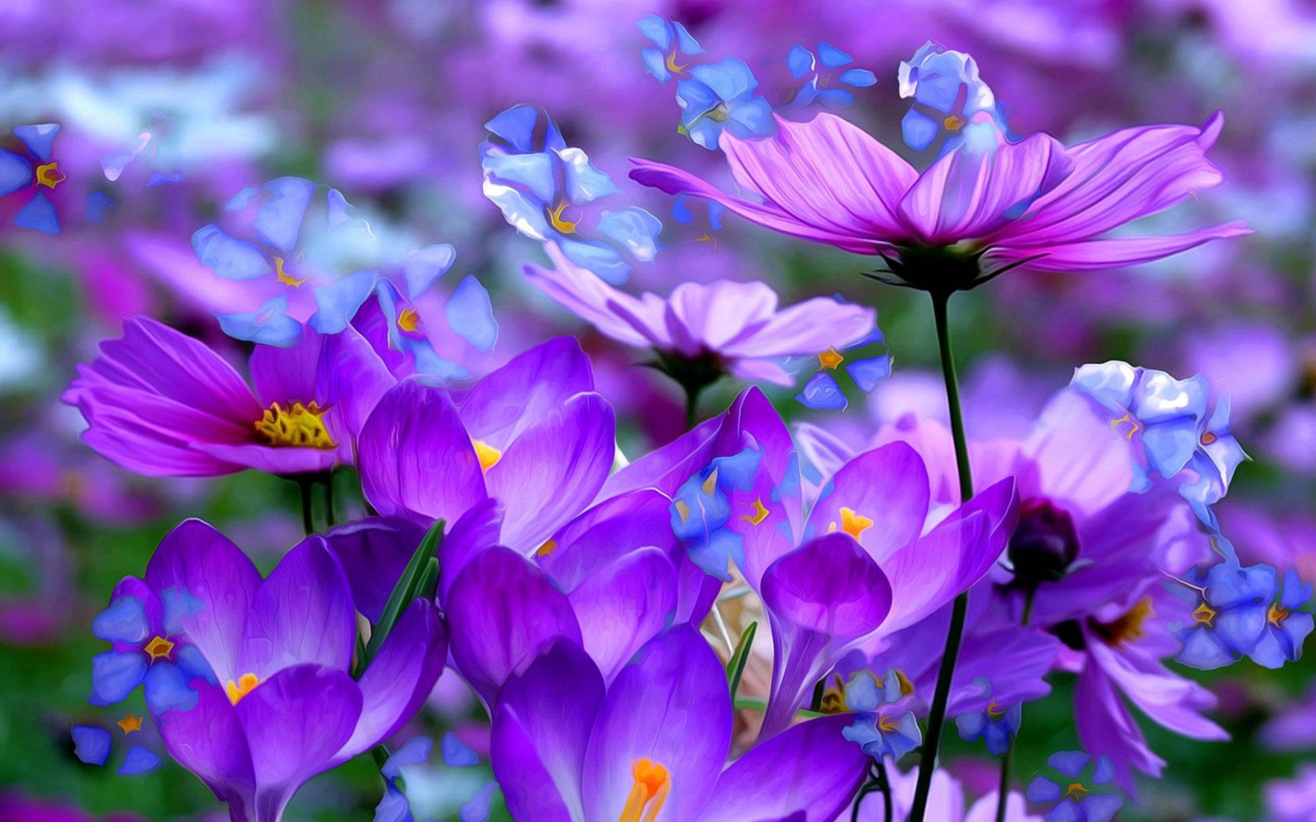 Tall Purple Flower Desktop Wallpaper