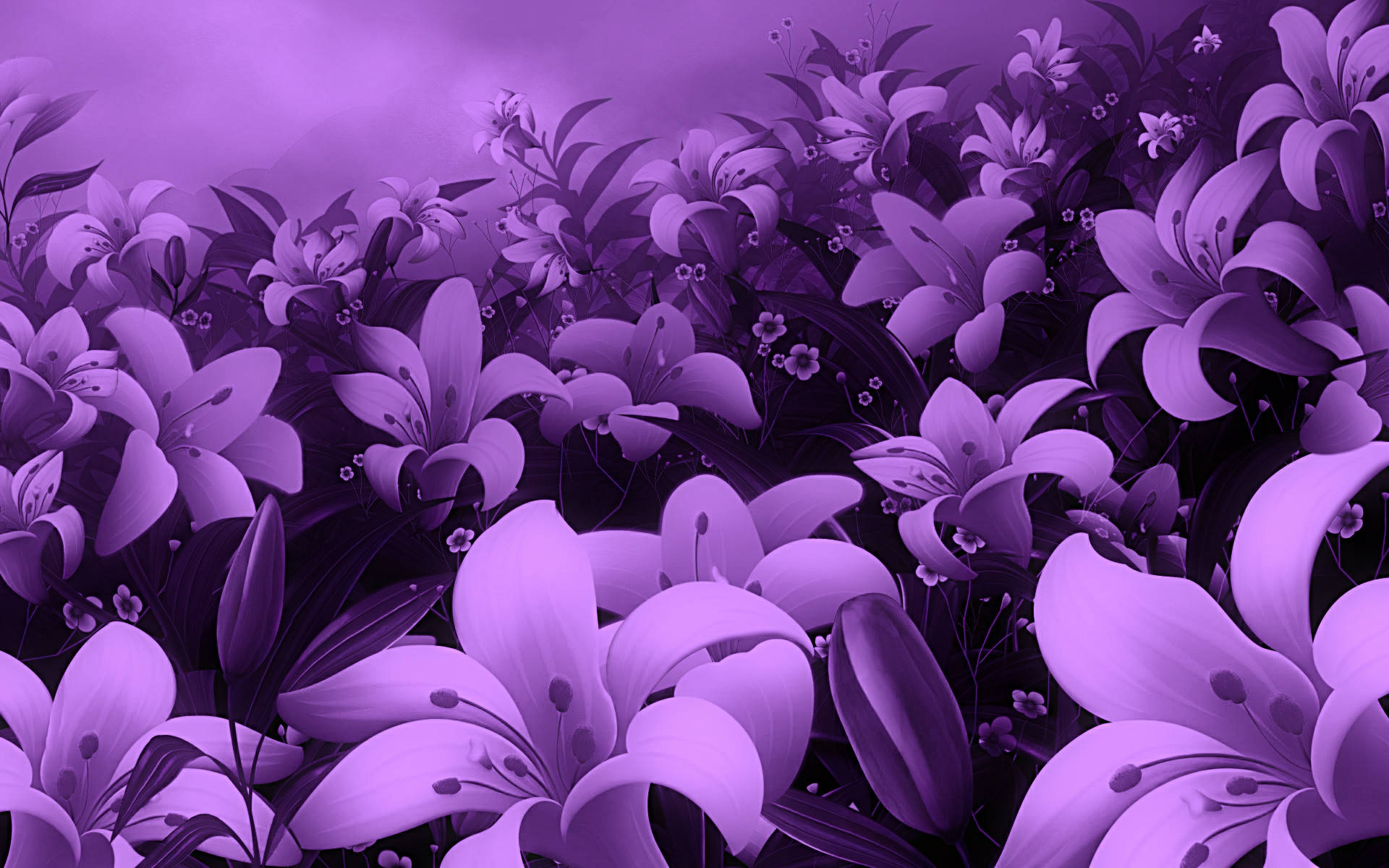 Einruhiger Und Gelassener Bedeckter Tag Mit Einer Blühenden Lila Blume Auf Dem Desktop. Wallpaper