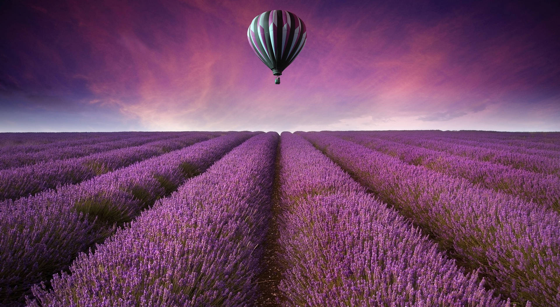 Purple Flower Field And Hot Air Balloon Wallpaper