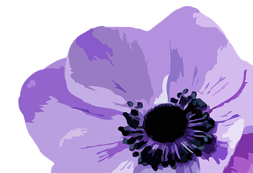 Purple Flower Illustration PNG