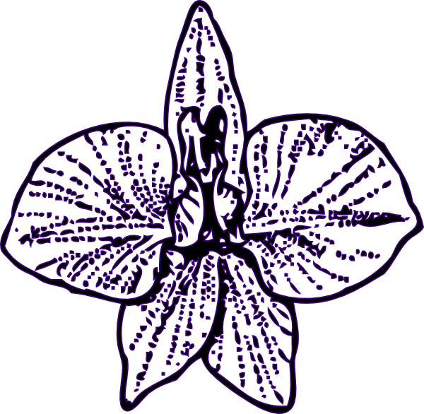 Purple Flower Line Art Outline.png PNG