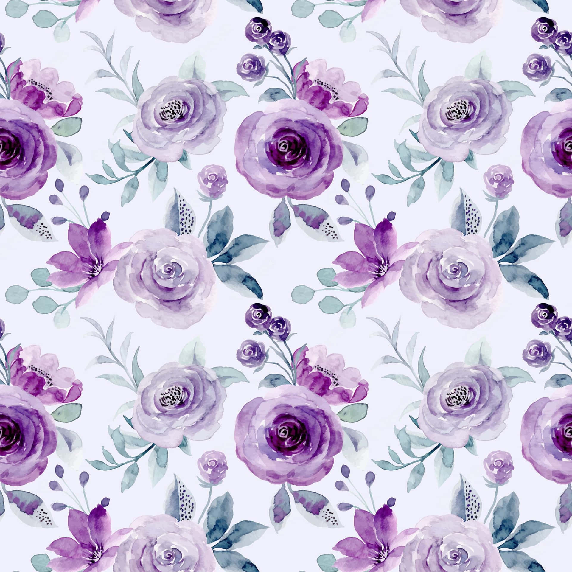 Purple Roses On A White Background