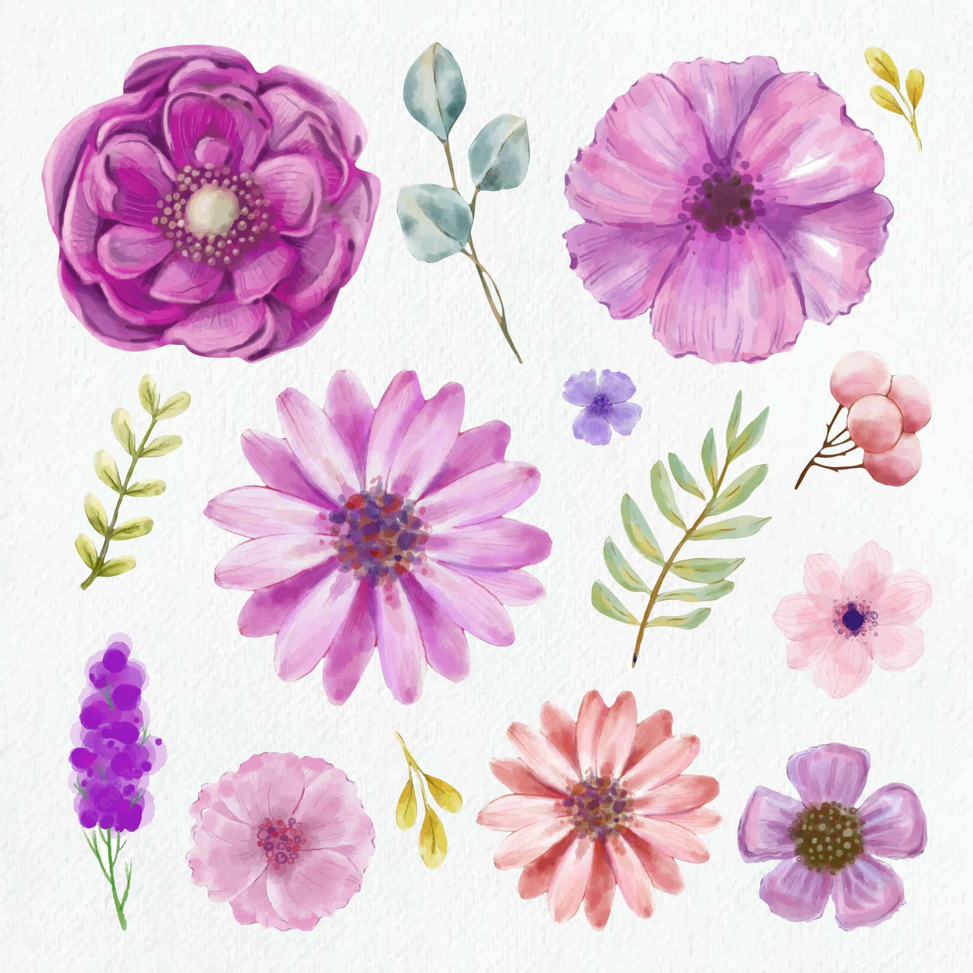 "Gorgeous Purple Flower"