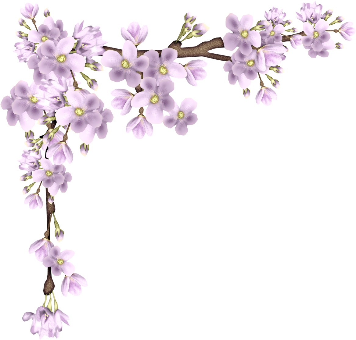 Purple Flowering Branch Graphic PNG