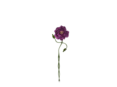 Purple Floweron Black Background PNG