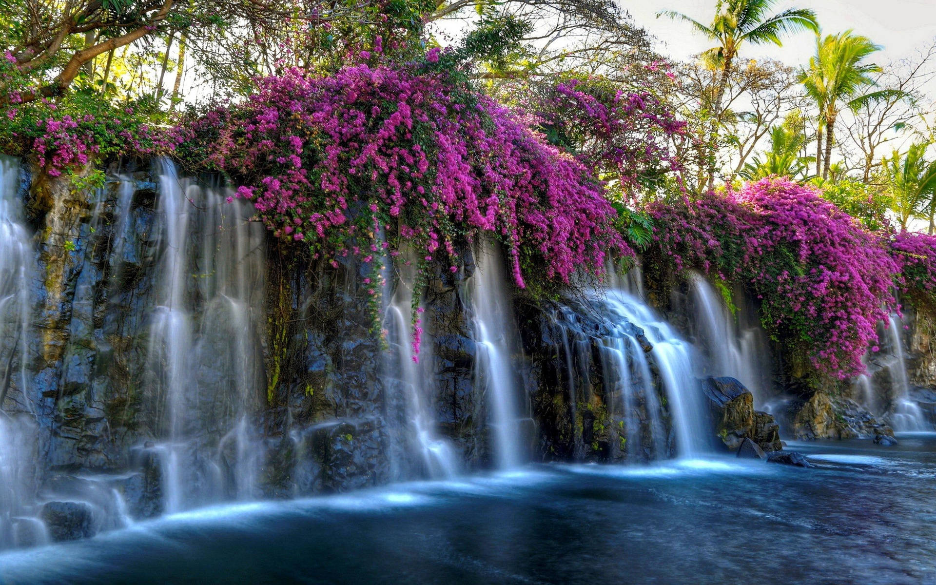Purple Flowers Beautiful Waterfall Wallpaper