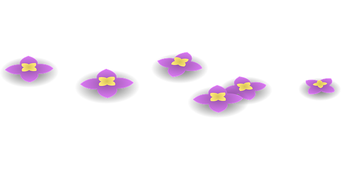 Purple Flowers Black Background PNG