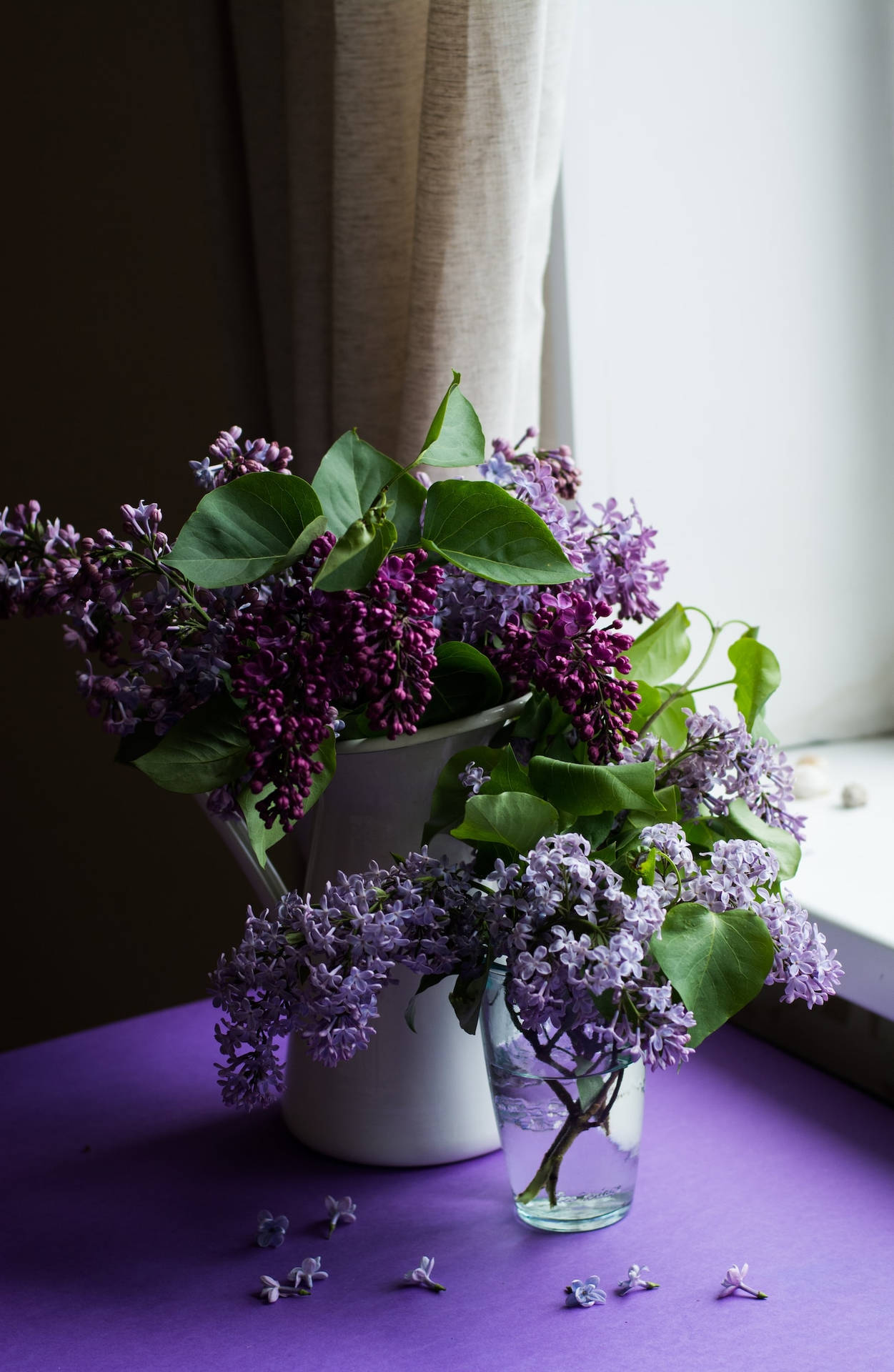 Purple Flowers Inside A Vase Iphone Wallpaper