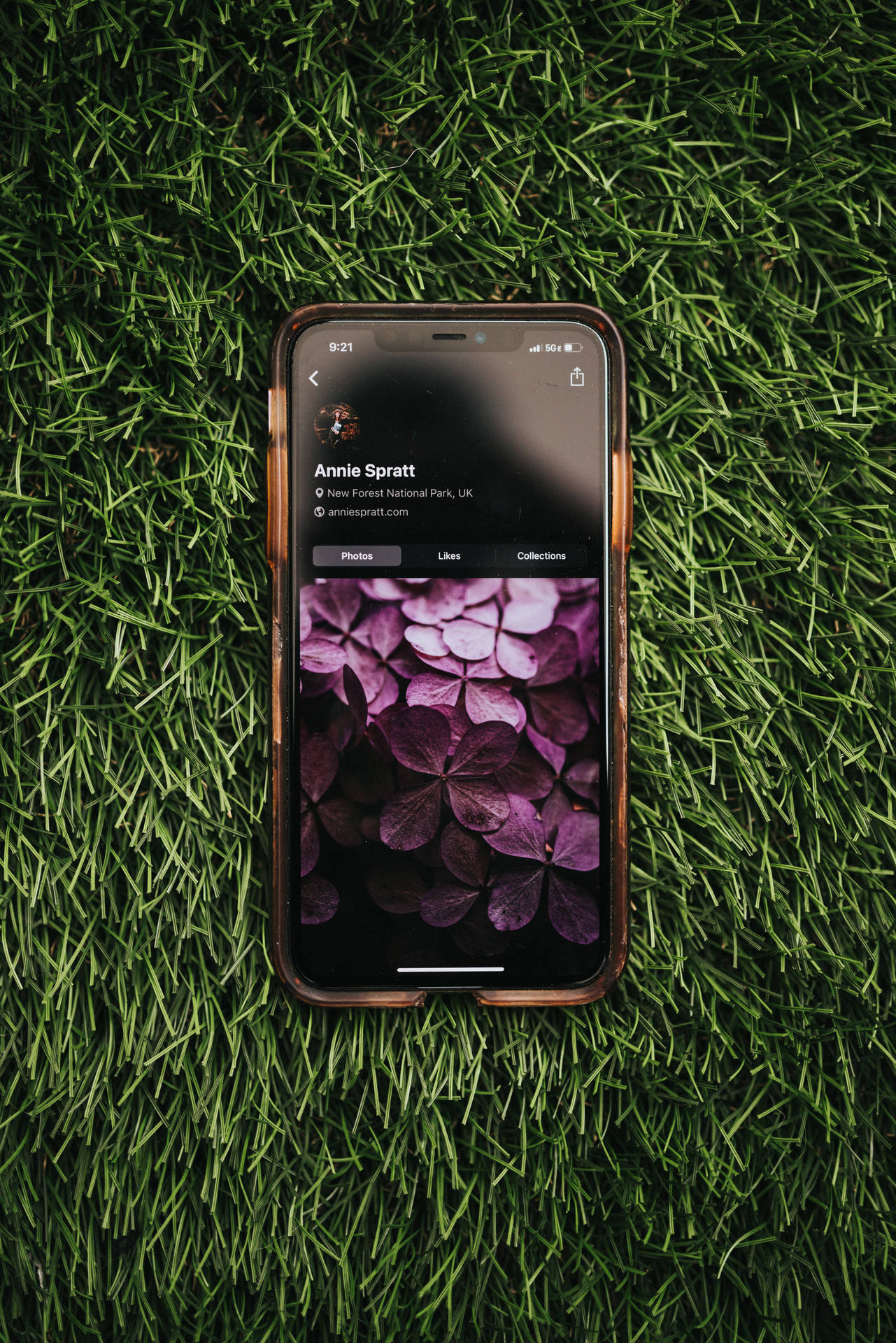 Floresmoradas En El Iphone Ios. Fondo de pantalla